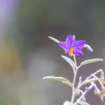 去除马赛克网站 mamdp51uy8