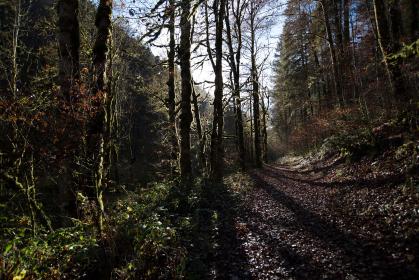 京香julia 京香julia